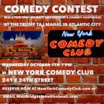 Taj Mahal Show